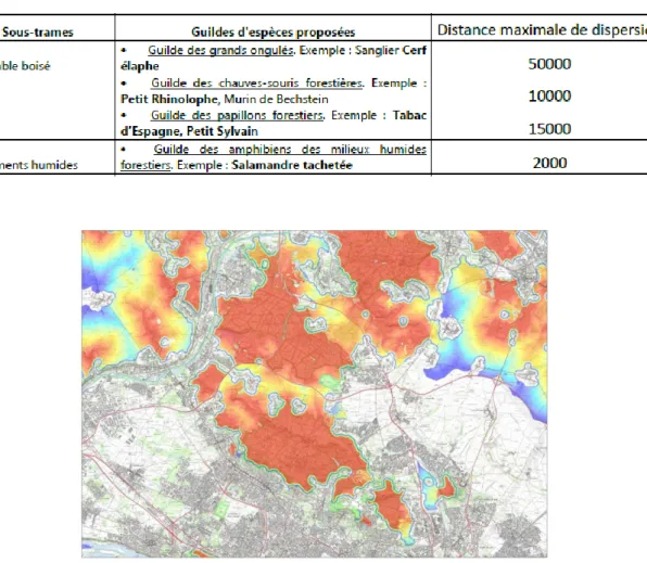 Tableau 2: Exemple d'espèces proposées par guildes pour un extrait de quelques sous-trames, dans le cadre de la réalisation  d'une simulation d'aire de migration pour la SRCE de Picardie (Méthodologie retenue pour le SRCE Picardie, 2015  [18] ) 