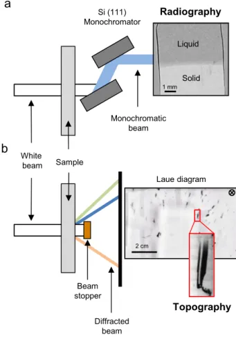 Fig. 1. Schematic illustration of synchrotron X-ray radiography and X-ray topo- topo-graphy imaging techniques during directional solidiﬁcation of a multi-crystalline silicon sample.