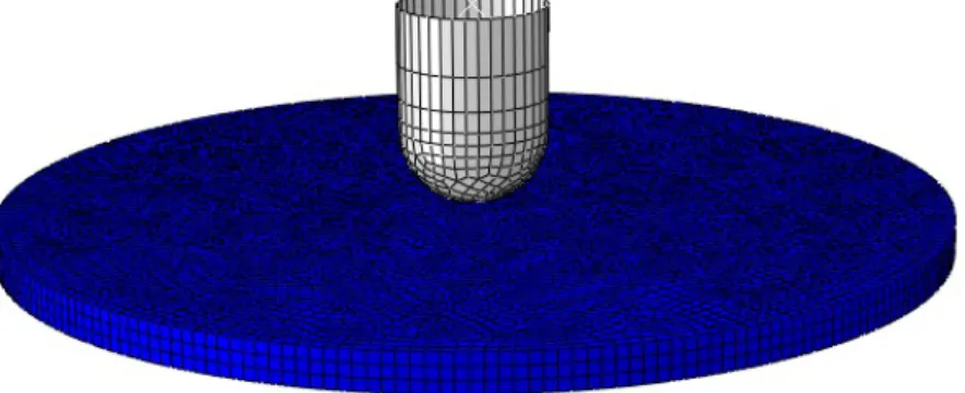 Figure 5: FE model for ASTM D3763 multiaxial impact test