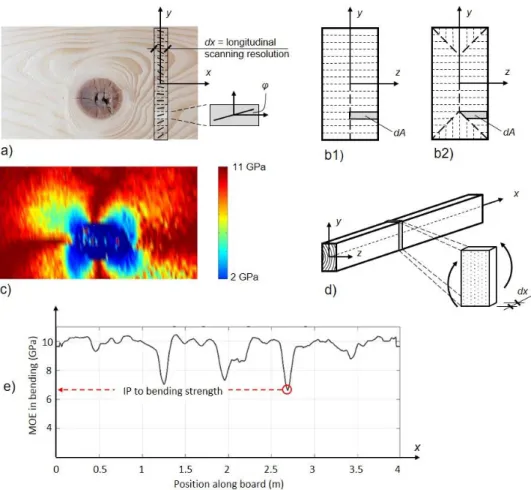 Fig. 3  a) Local fibre orientation scanned on a member’s surface by means of a row of laser dots, b1) and b2) cross- cross-section  divided  into  sub-areas  implying  that  the  exhibited  angle  φ  and  corresponding  MoE  in  the  longitudinal  directio