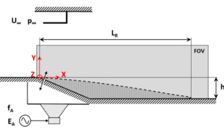 FIG. 2. Sketch of the investigated model. X, Y, and Z, respectively, indicate the streamwise, wall-normal, and spanwise axes
