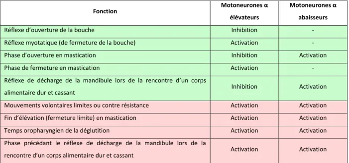 Tableau 2 : Exemples de fonctions et stratégie musculaire adoptée