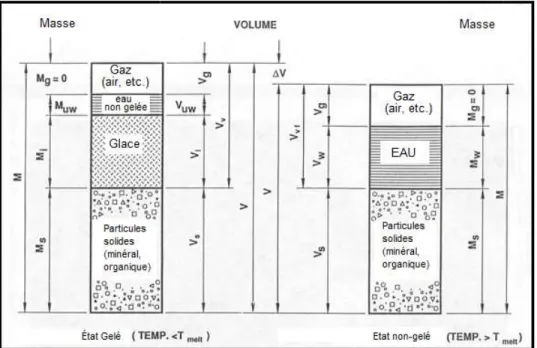 Figure 3: Relation masse