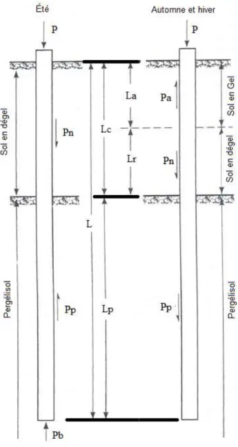 Figure 8: Forces sur un pieu selon la saison (