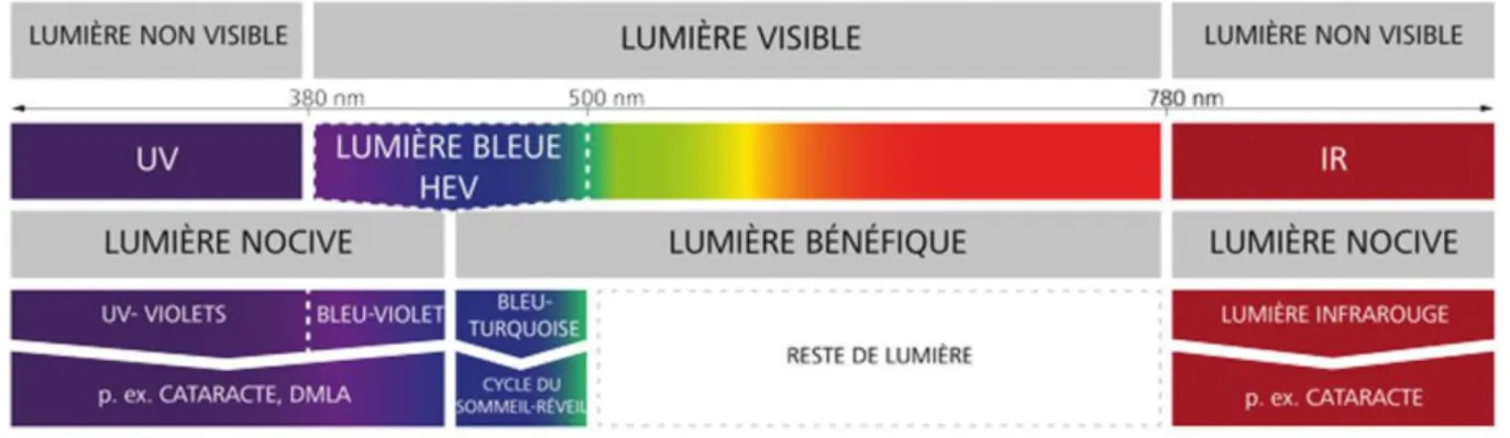 Figure 3 Spectre de la lumière et répercussion 