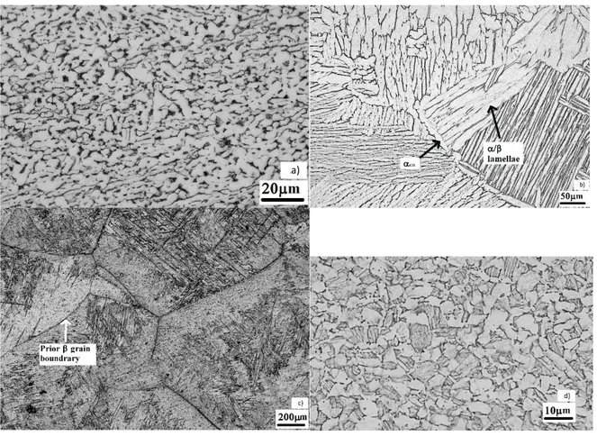 Figure 1 - Optical micrographs of different microstructures obtained by pre-heat treatments (a) initial  119 