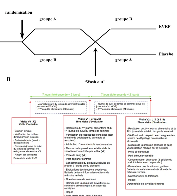 Figure 3. Plan de l’étude  A. Protocole de l’étude B. Déroulement de l’étude 