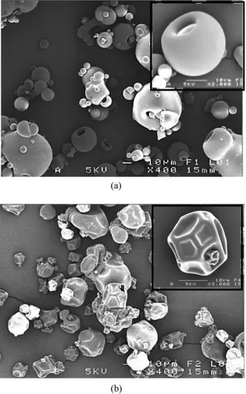 Fig. 8. Particle shapes of dairy proteins material. (a) Whey proteins isolate. (b) Casein micelles isolate.