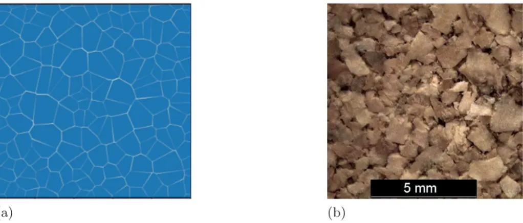 Figure 7: The parametric model (a) and an image of a cork-based composite (b) taken from [13].