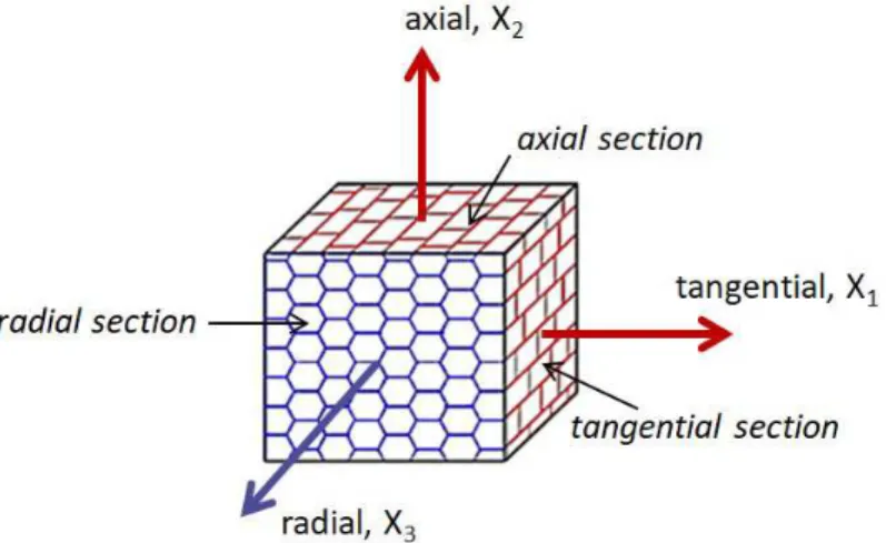 Figure 1: Schematic representation of the honeycomb microstructure and reference frame of cork.