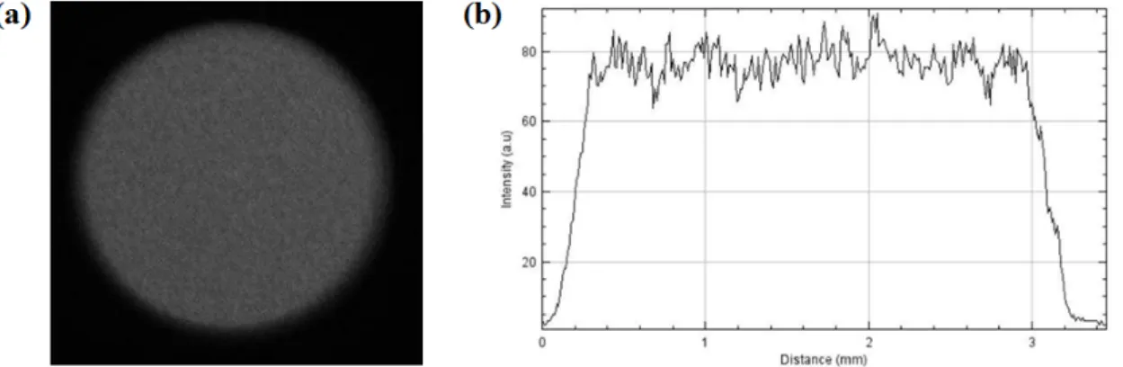 Figure 2 shows a typical image and corresponding profile of the laser spot at the location of the target, demonstrating a uniformity of intensity below 6%