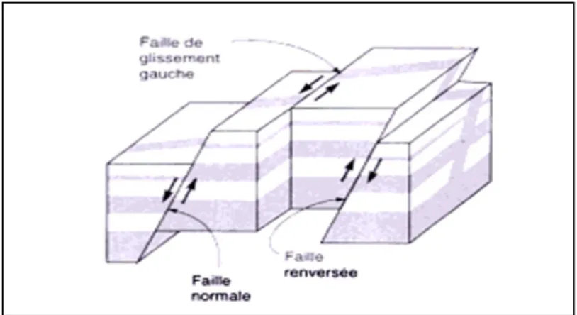 Figure 1.2 Mécanisme de rupture des failles terrestres  Tirée de Filiatrault (1996, p