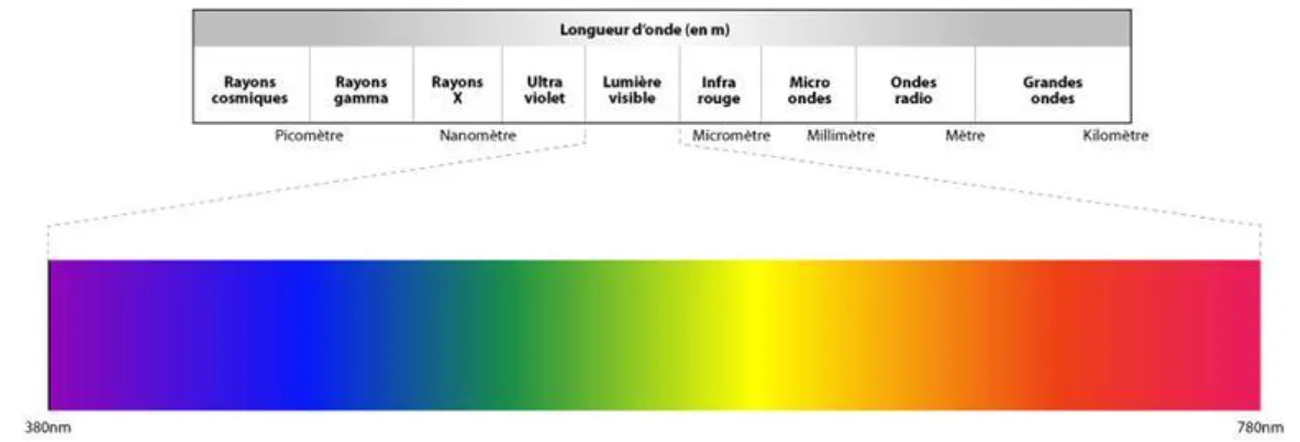 Figure 5 Spectre lumineux 