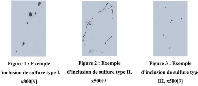 Figure 1 : Exemple  d'inclusion de sulfure type I, 