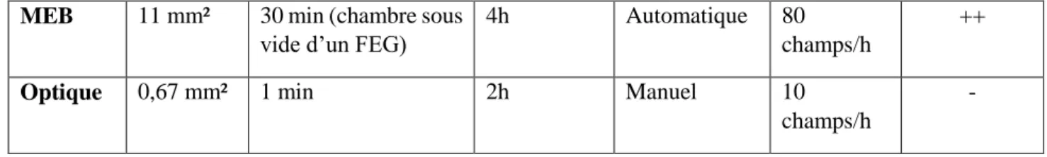 Figure 4 : Exemple de champ élémentaire. Grossissement x500 