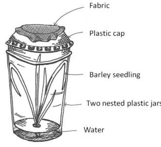 Figure 5: Representation of a plastic box where the aphid colonies were kept before introduction of the  aphids in the experiments