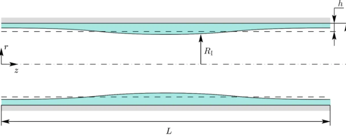 FIG. 2. Schematic of the geometry of the airway model: the rigid tube has radius a , length L , is coated by a liquid lm (light blue) of average thickness h and surrounded by a gas core