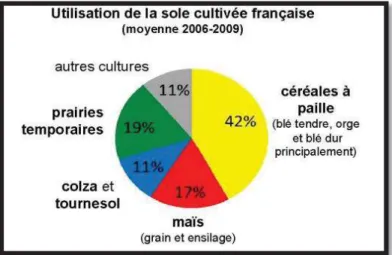 Figure 1 : Utilisation de la sole cultivée française (moyenne 2006-2009) (Fuzeau et al, 2012)