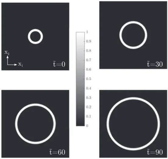 Figure 5. Evolution of the dislocation density     a a 0 max in the process of expansion of a smooth circular loop.