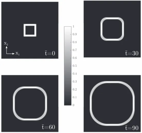 Figure 7. Evolution of the dislocation density     a a 0 max in the process of expansion of a polygonal loop.