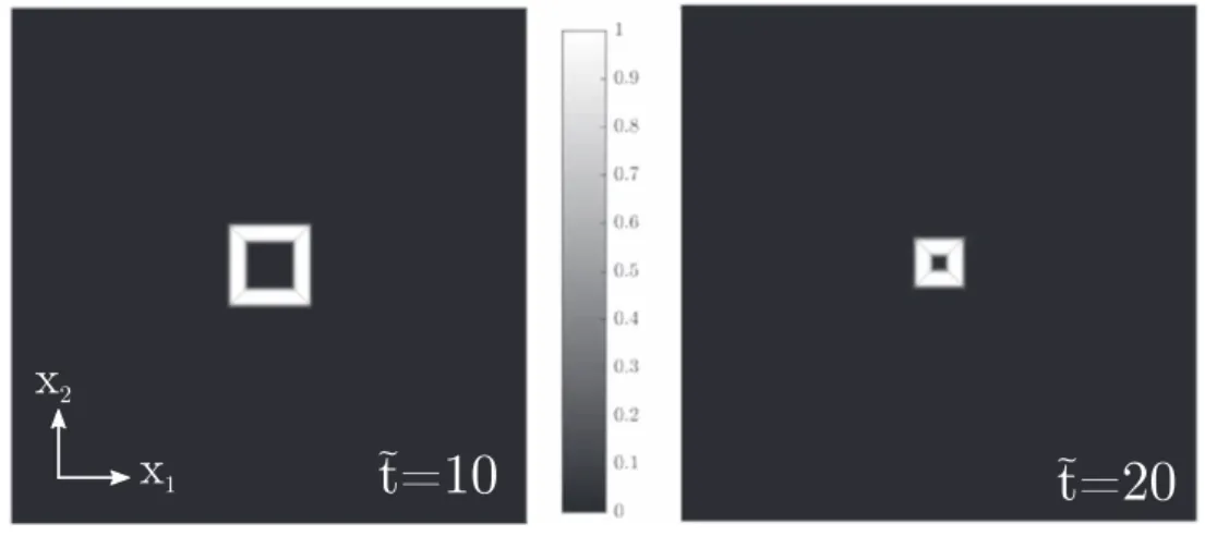 Figure 8. Evolution of the dislocation density     a a 0 max in the process of shrinkage of a polygonal loop.