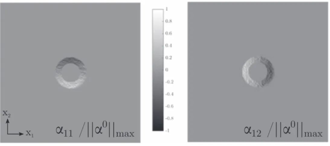 Figure 9. Distribution of the dislocation density after equilibrium.