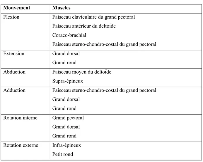 Tableau 1.5 Principaux muscles impliqués dans les mouvements de l’épaule  Mouvement Muscles 