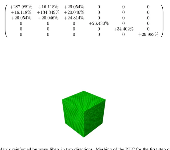 Figure 5: Matrix reinforced by wavy fibers in two directions. Meshing of the RUC for the first step of homoge- homoge-nization.
