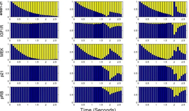 Figure 4. Sample of the results from incorporating model parameters as dimensions in the PGD solution