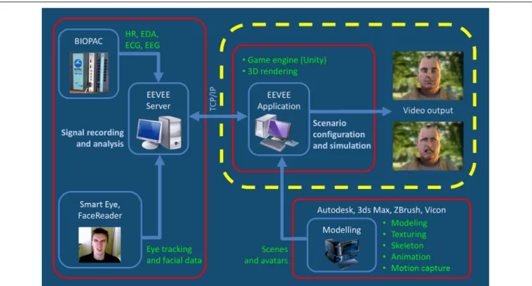 FIGURE 1 | This figure shows that the EEVEE platform works on the basis of an iterative loop between the observer and the avatar
