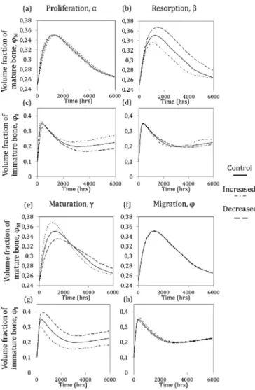 Fig. 4. The normalized Young’s modulus distribution after 10,0  0  0 h for (a) De-  creased loading  angle  θ 1 – Set  2  – Simulation A (  F 1 =  2317 N,  θ 1 =  14 ° and F 2 =  703  N,  θ 2 =  18  °)  and (b)  Decreased  loading  angle  θ 1 and  decrease