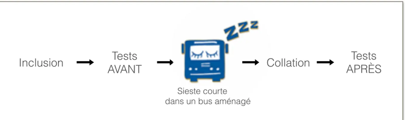 Figure 3 : Schéma expérimental de l’étude SIEST’EnBUS 