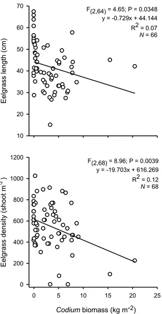 Figure 3.2. Relationship between Codium biomass and eelgrass shoot length and density in  Codium-invaded beds