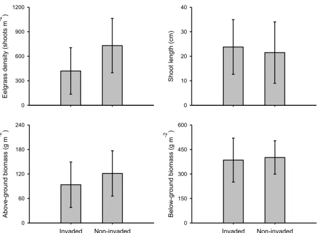 Figure 3.3. Eelgrass population characteristics (mean ± SD) in eelgrass beds were  Codium  is known to have been established for over three years (Invaded) compared to eelgrass beds  with no invasion history (Non-invaded)