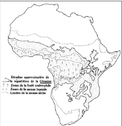 Figure 16 : Distribution des cas de Trypanosomiase Humaine Africaine dépistés en  Afrique subsaharienne (2000-2010) 