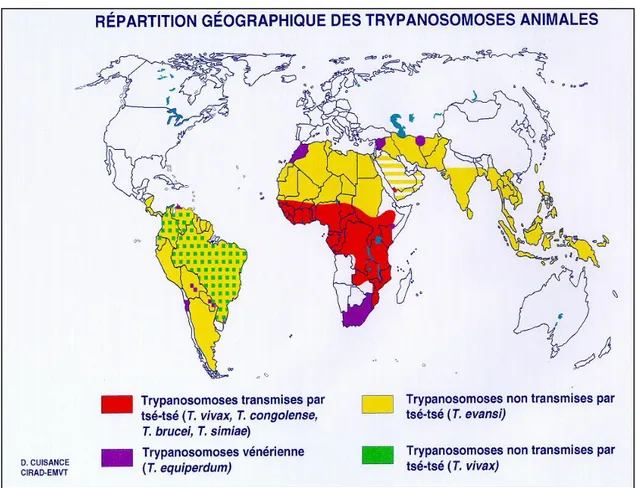 Figure 17 : Répartition géographique des trypanosomoses animales dans le monde et  sur le continent africain 