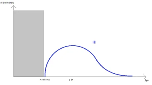 Figure 6 : Schéma évolutif de l’HI. 