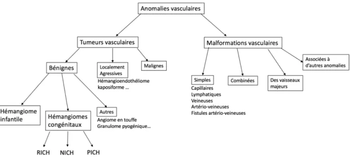 Figure 1 : Classification des anomalies vasculaires. 
