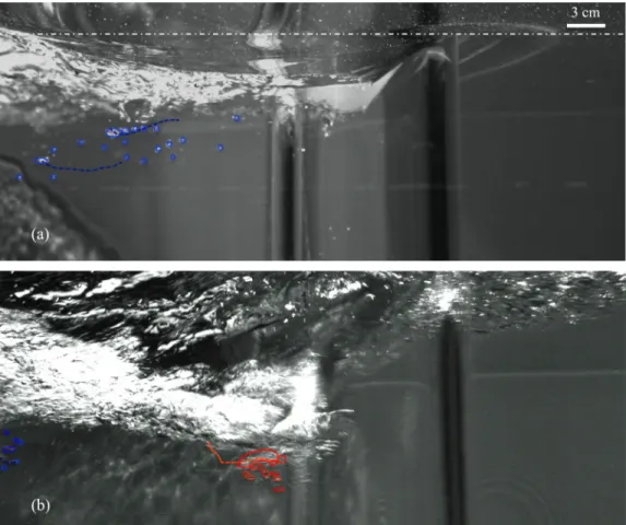 FIG. 6. View from the side below-surface of the cylinder of 16 cm in diameter. (a) Air-entrainment in the wake at Re = 122 500 or Fr = 0 