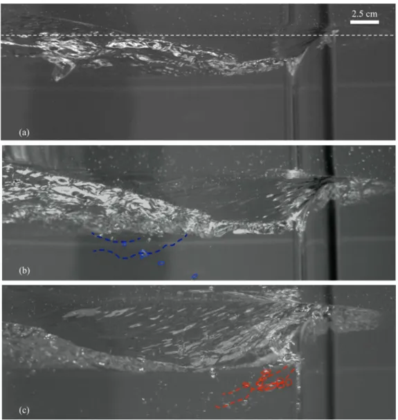 FIG. 5. View from the side below-surface of the cylinder of 5 cm in diameter. (a) No air-entrainment at Re = 34 670 or Fr = 0 