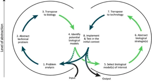 Figure 1. The uniﬁed technology-pull biomimetic process from Fayemi et al. (2014). (colour online)