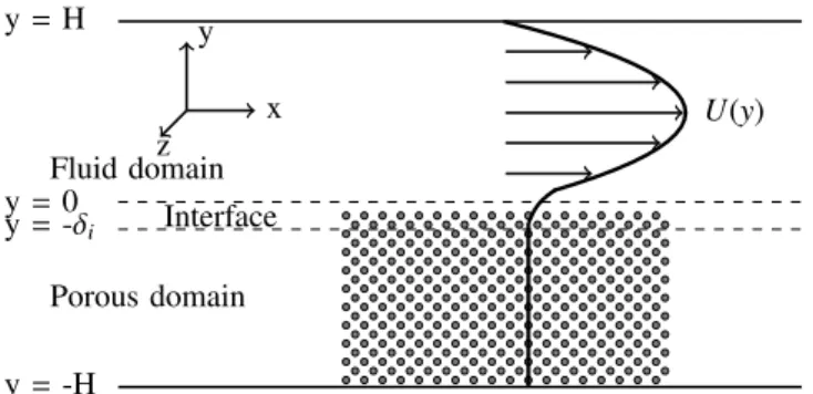 Fig. 1. Schematic diagram of the flow configuration and the coordinate system adopted.