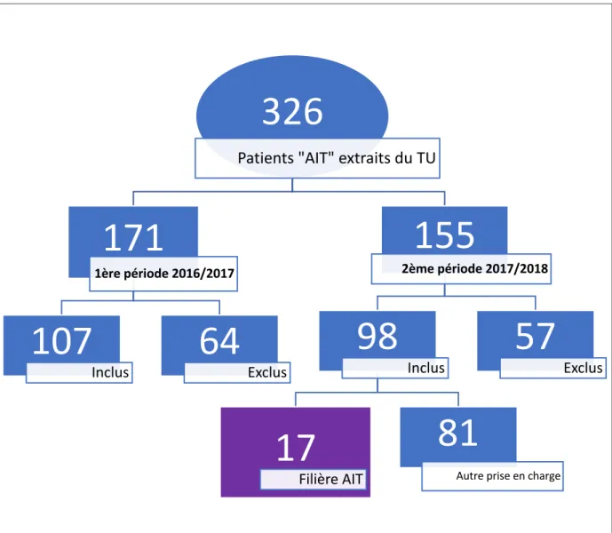 Figure 1. Flow Chart représentant l’ensemble des patients de l’étude. 