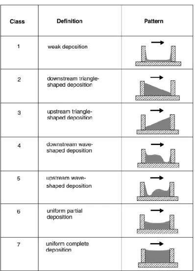 Figure  I–3:  Morphological  classification  of  groyne  field  sediment  deposits  (Sukhodolov  et  al.,  2002; 