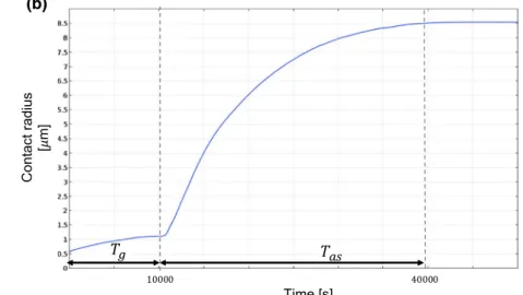 Fig. 6    a Cell spreading over a flat substrate at t  = 40,000 s.  b Evolution of the contact radius with respect to time between t =0 s, when the grav- grav-ity is applied, and t  = 40,000 s when the adhesion spreading force  f as  reaches its maximum va