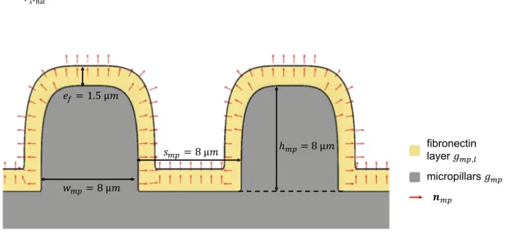 Fig. 3    Pillars (  g mp  ) in grey with the superposed layer of fibronectin (  g mp,l  ) in yellow