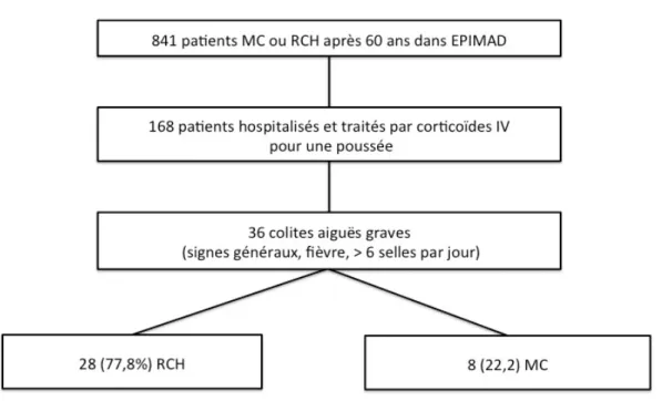 Figure 1 : Organigramme de l’étude 