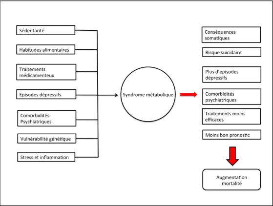 Fig 13. Causes et conséquences du syndrome métabolique chez les patients bipolaires 