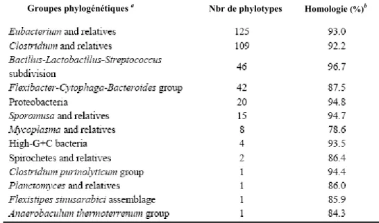 Tableau 1. Types bactériens cultivables provenant du tractus gastro-intestinal  porcin