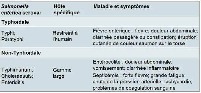 Tableau 6. Exemples de sérovars de  Salmonella enterica; leurs hôtes et leur maladie. 